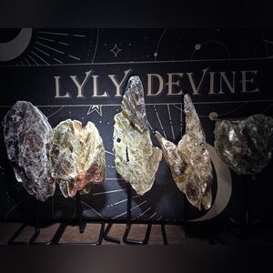 Golden Muscovite W/ Tourmeline & Or Garnet